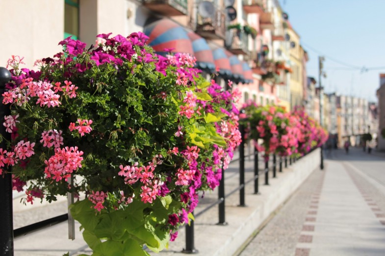 Blumenkästen der Marke Atech