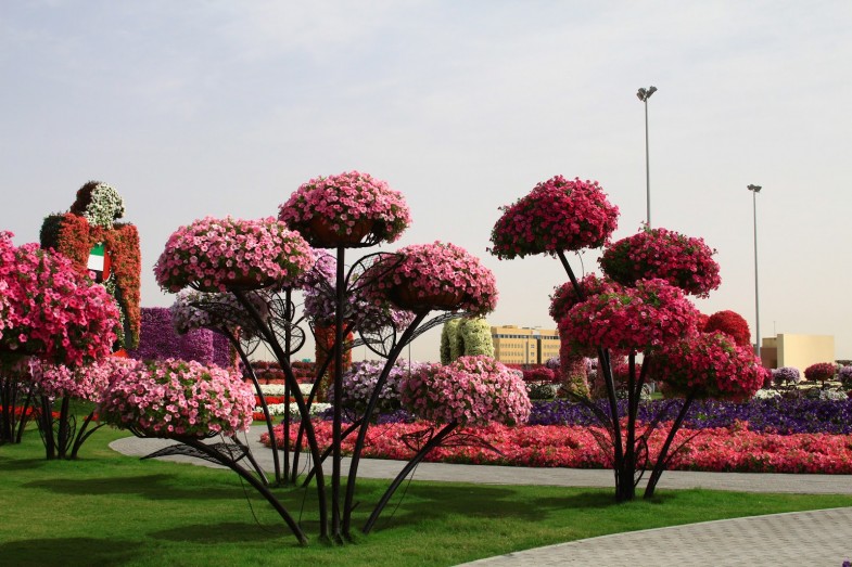 hängende Blumenkästen Sifu