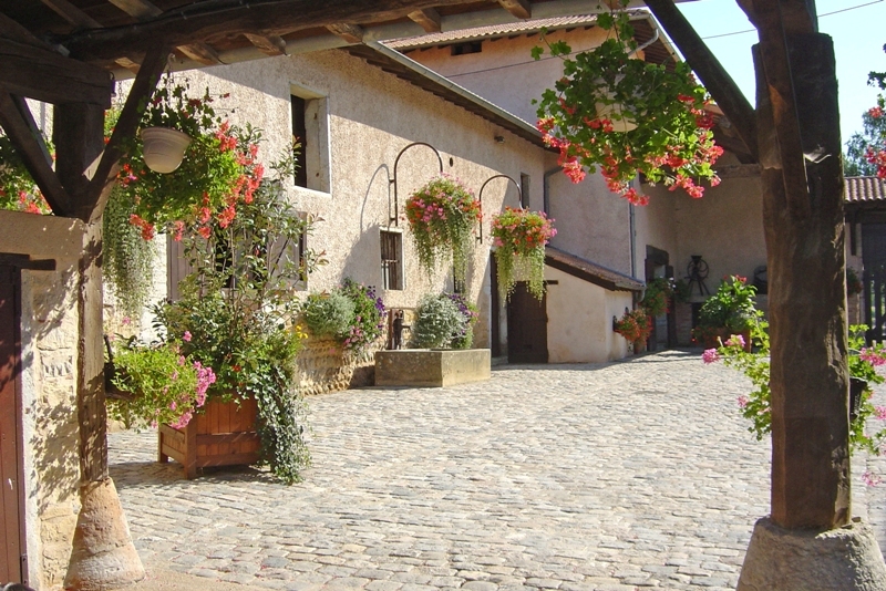 Blumen für den Balkon und die Terrasse