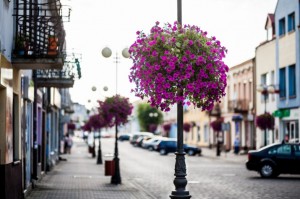 Blumenampel Jiflor Atech