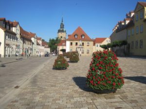 Stadtbepflanzung: effektvoll und effektiv