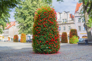 Bereiten Sie die Blumenkaskaden auf die Wintersaison richtig vor!