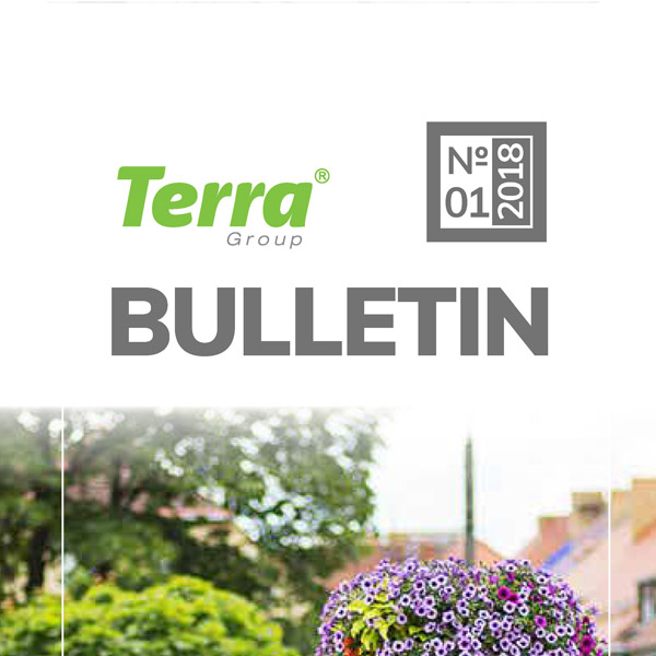 bulletin Terra Group 1