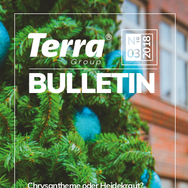 bulletin Terra Group 3