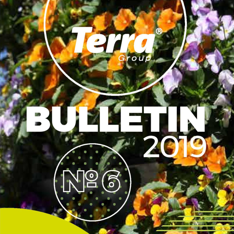 bulletin Terra Group 6