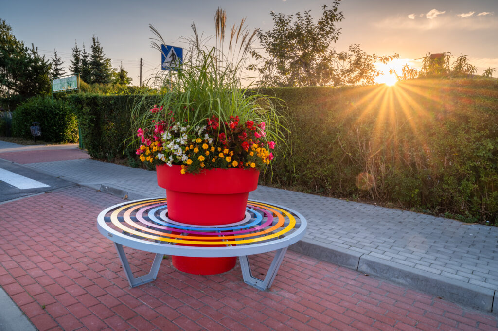 flowers-in-pot-nadnotecka-street-Labiszyn-Zebra-bench (1)