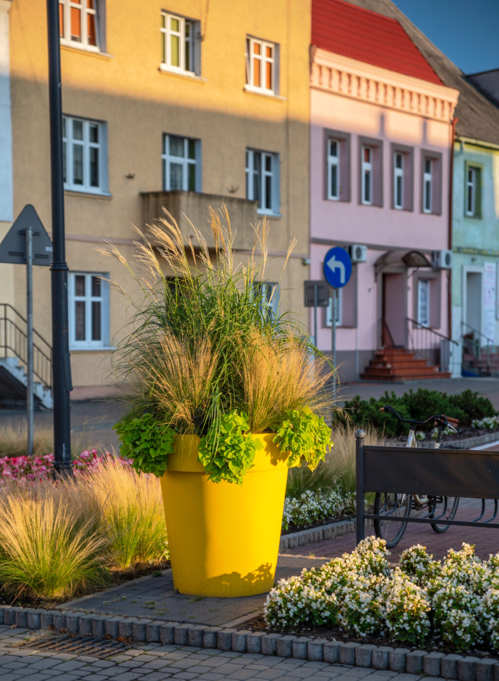 what-plants-for-large-pots